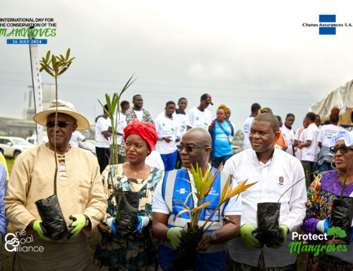 CHANAS ASSURANCES S.A. « PROTECTS THE MANGROVES »